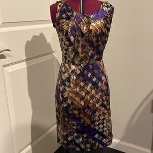 Banana Republic Women’s Small Dress Size 2